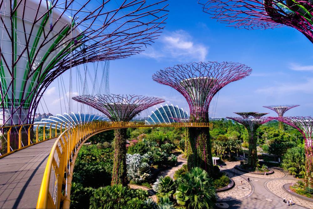 OCBC Skyway in Gardens by the Bay